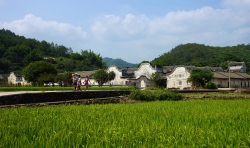 人間最美五月天——高墻里的溫情