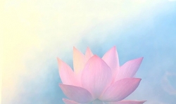 我在仁愛(ài)啟明書(shū)院中成長(zhǎng)