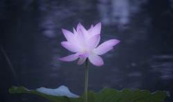 這些年