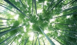 刺眼的光，帶來溫暖——仁愛助學(xué)心得
