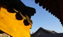 六七年的熱線見證：岫姐姐笑聲越來越多了