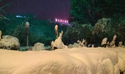 為了365天不間斷的承諾 他們在“大雪”里奉了一次無“粥”之粥 ... ...
