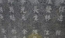 鏡頭 | 清明節(jié)來了，我們?nèi)プ匪寄切┳鎳牧沂? class=