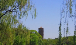 為了生命的尊嚴(yán)，走起來!