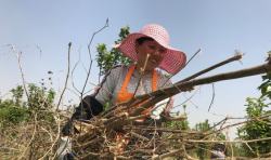 四和仁愛 | 通州分中心13名志愿者來到通州福田展開出坡培福團(tuán)建活動(dòng) ...