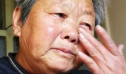 幫助孤困少年圓上學(xué)夢(mèng)，陪伴他們度過最黑暗的日子：仁愛助學(xué)在“99公益日”發(fā)起募捐 ...