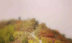 五“jian”生活，你值得擁有。