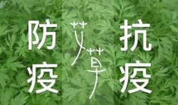 募集艾草制品：用“艾”傳遞愛，保衛(wèi)抗疫成果！