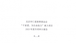 千家愛2023年項(xiàng)目審計(jì)報(bào)告